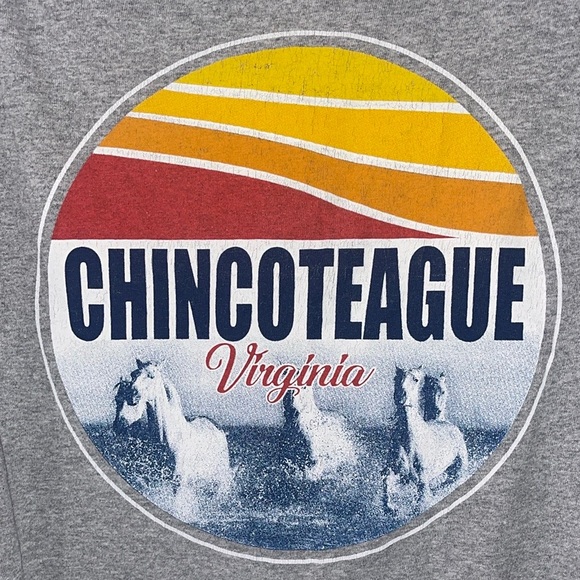 Chinoteague Island Virginia Wild Pony Roundup And Swim T Shirt Size Small - Picture 2 of 5